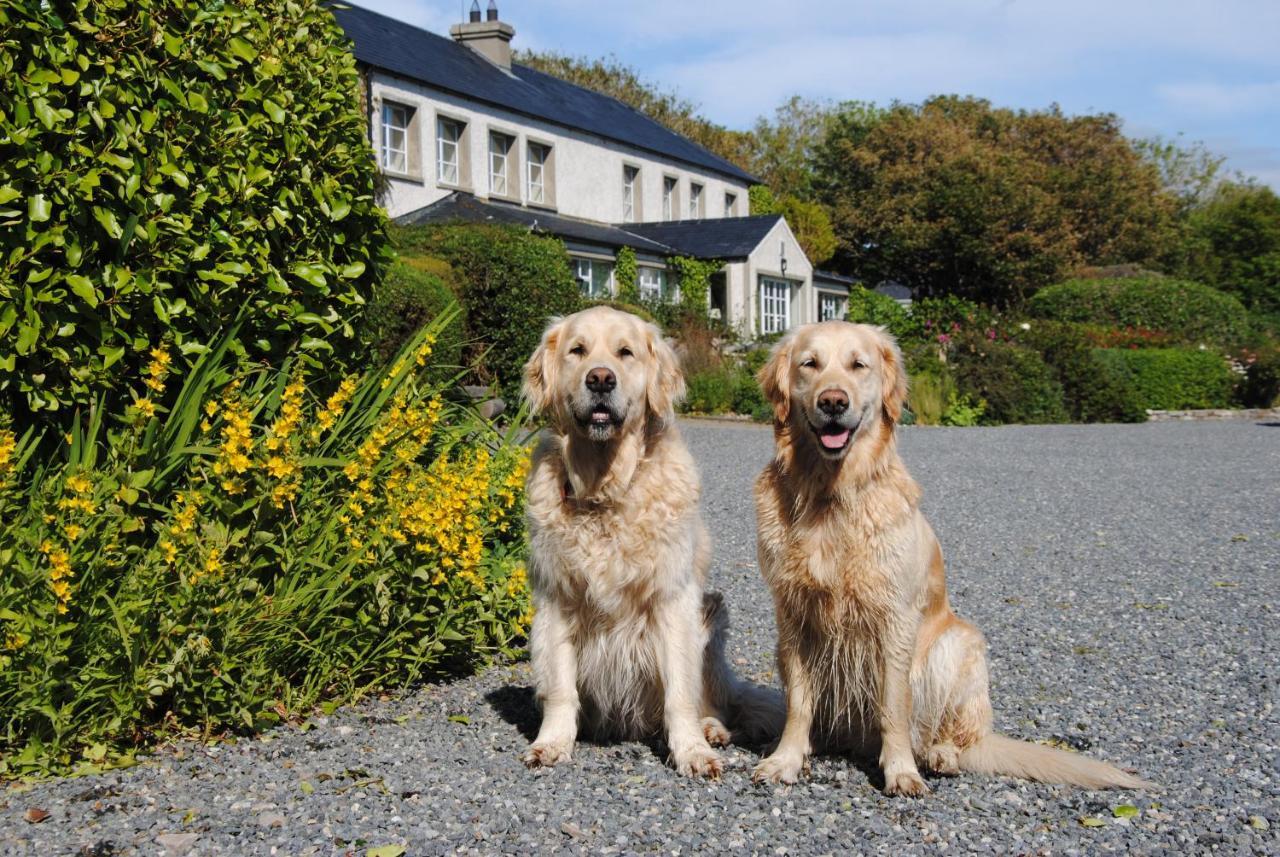 Hotel The Mill Dunfanaghy Exterior foto